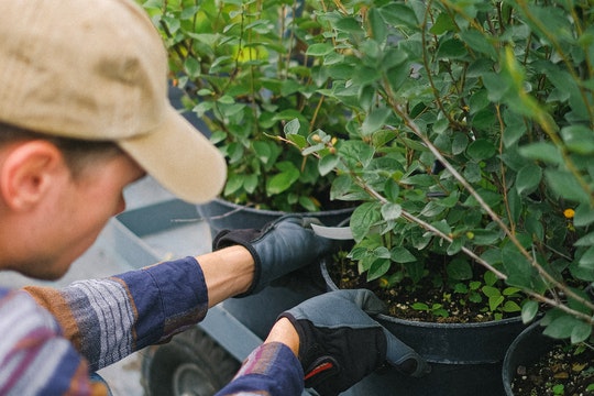 R & J Landscaping LLC